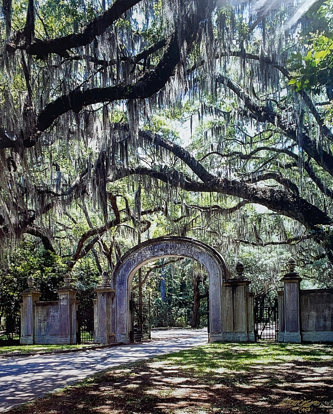 Oak Alley