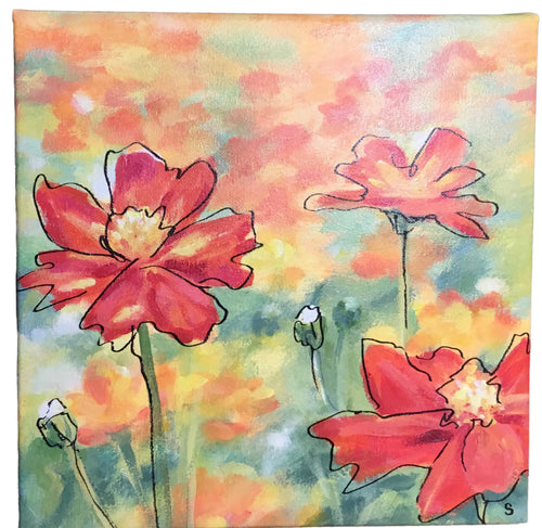 3 Orange Cosmos