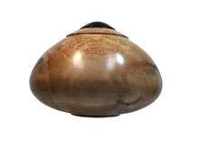 #229 Large Maple hollow form