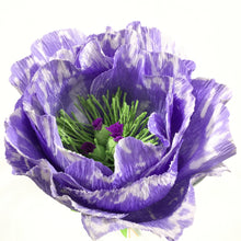 Lavender Blanchie Flower