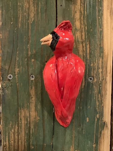 Large Male Cardinal