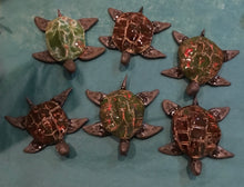 Sea turtle