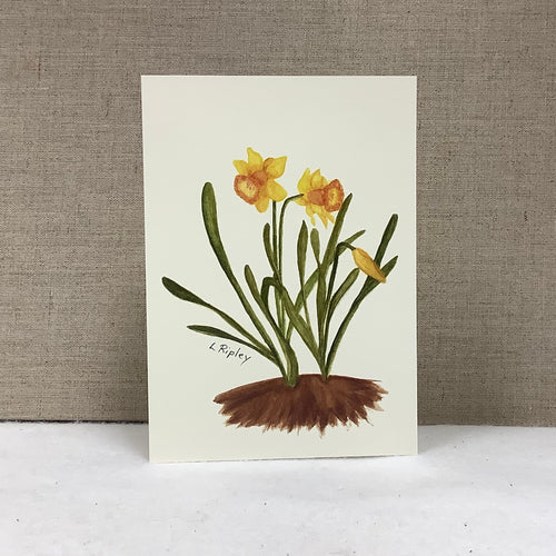 Daffodils