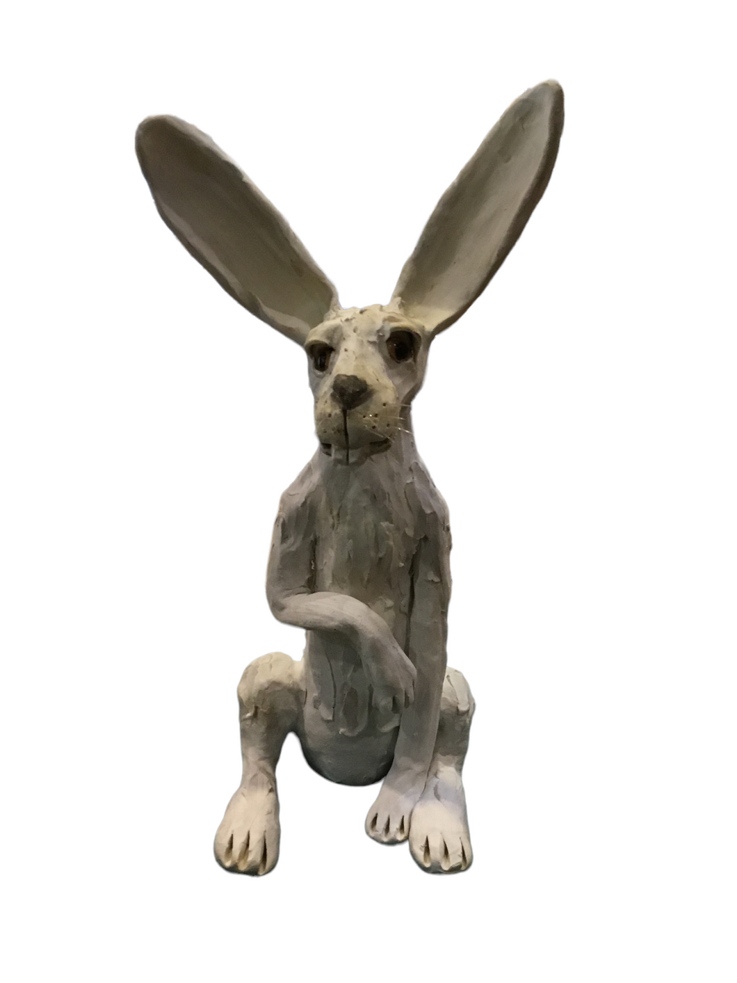 Large White Hare--Ears Up