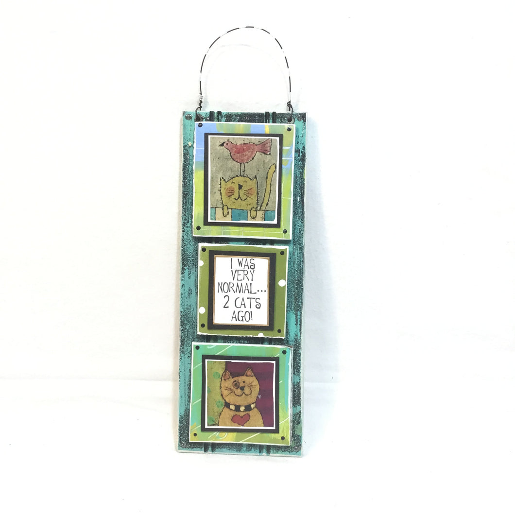 I Was Very Normal....2 Cats Ago!