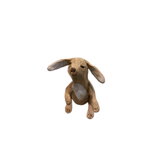 Smallest Rabbit