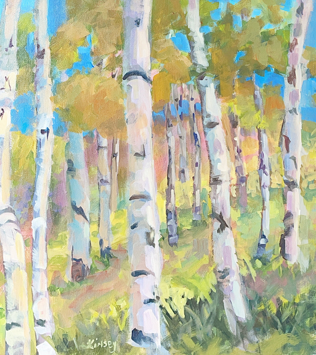 Aspen Spring