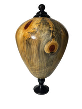 #219 Norfolk Island Pine hollow form