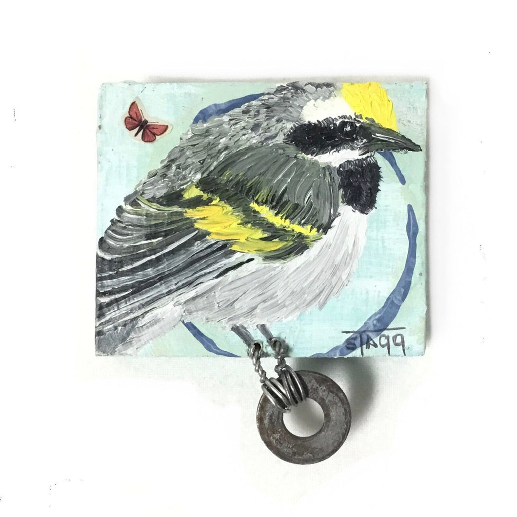 Golden-winged Warbler I