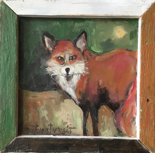 I've Got My Eye On You