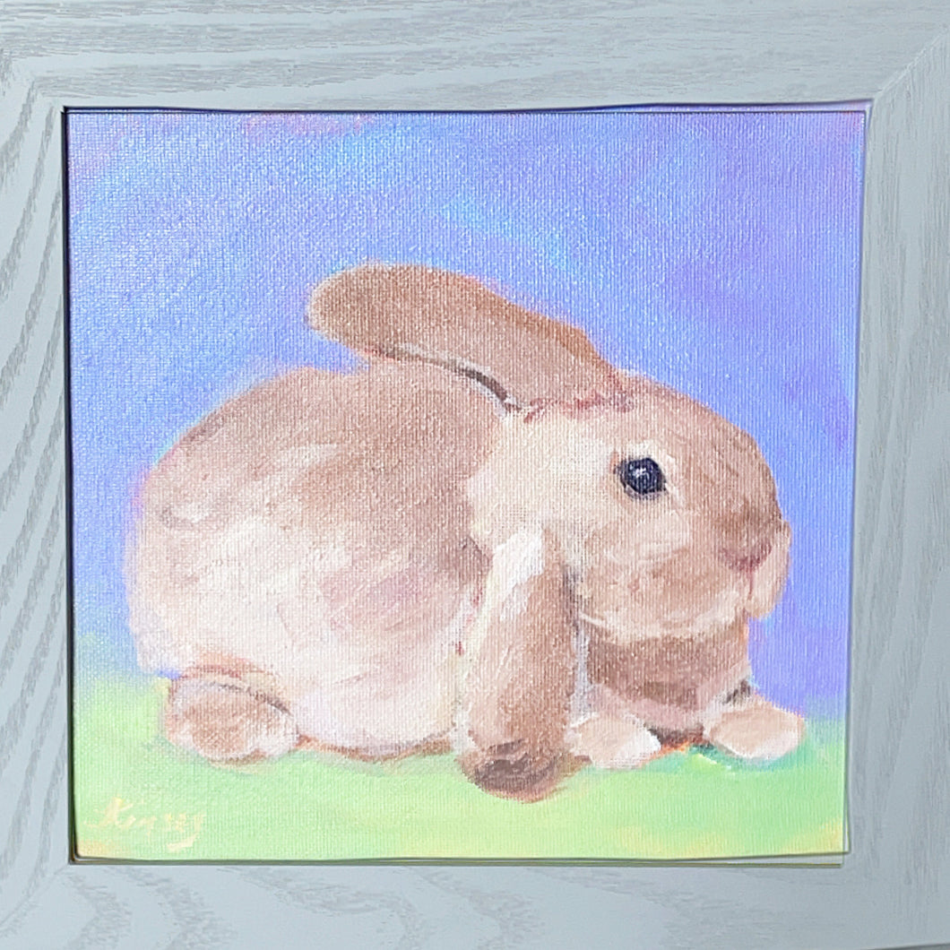A Flop Eared Bunny
