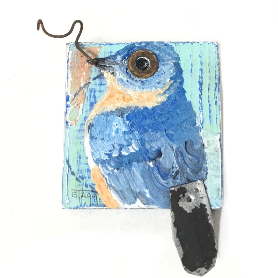 Eastern Bluebird II