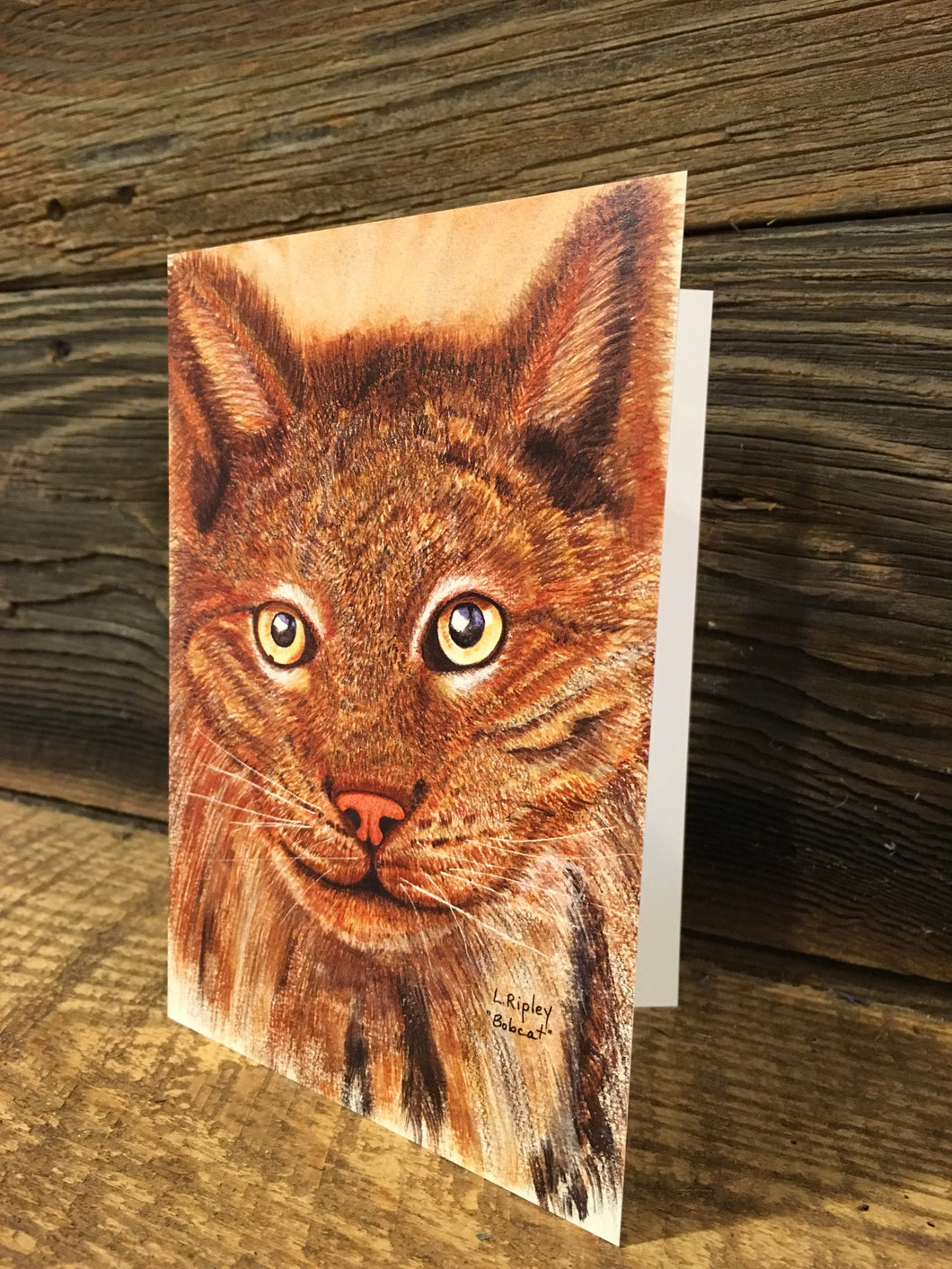 Bobcat Watercolor Card