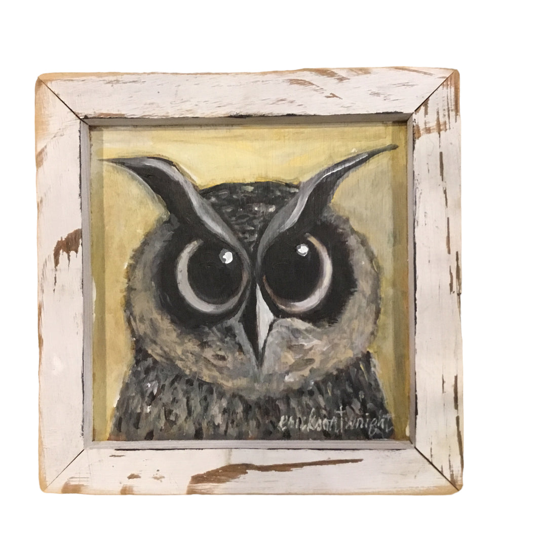 I've Got My Eye On You