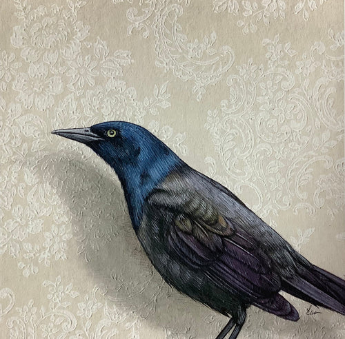 Grackle
