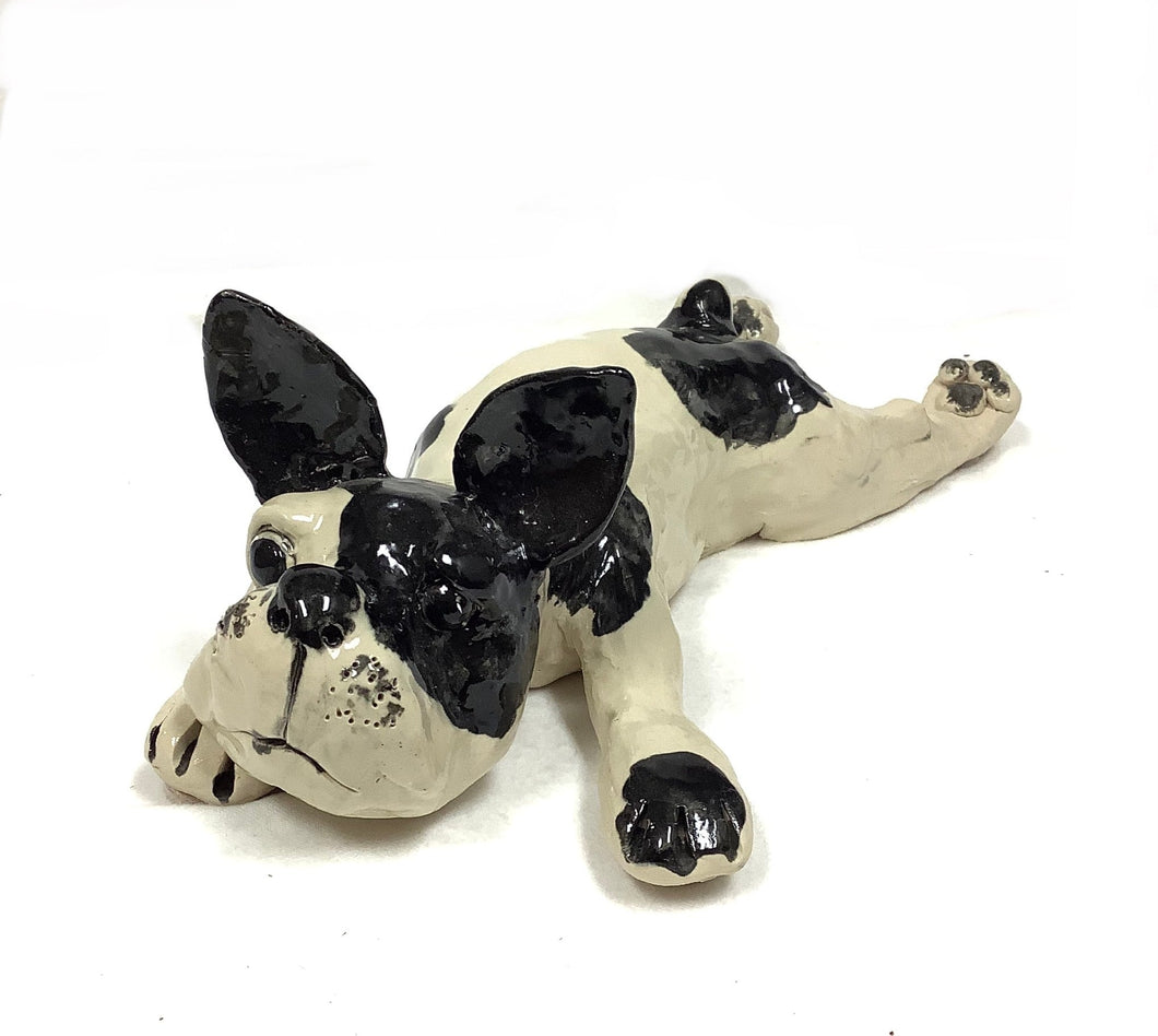 Dog with Black Spots