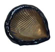 Golden Seashell Plate - Small