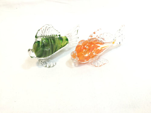 Glass Fish - Small