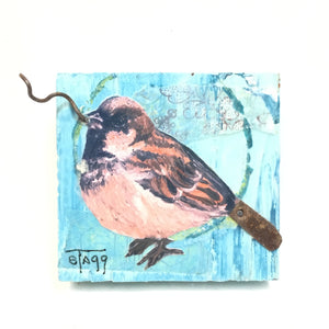 House Sparrow II