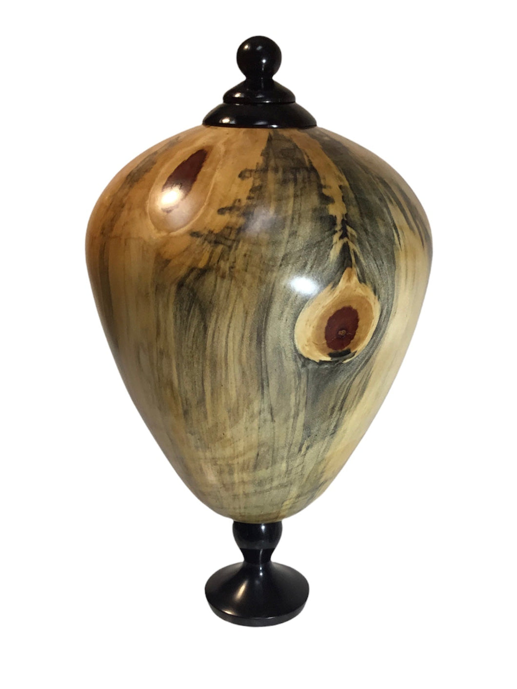 #219 Norfolk Island Pine hollow form