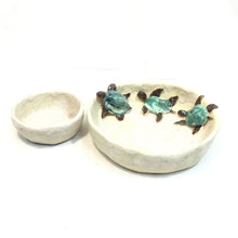 Turtle Dip Set