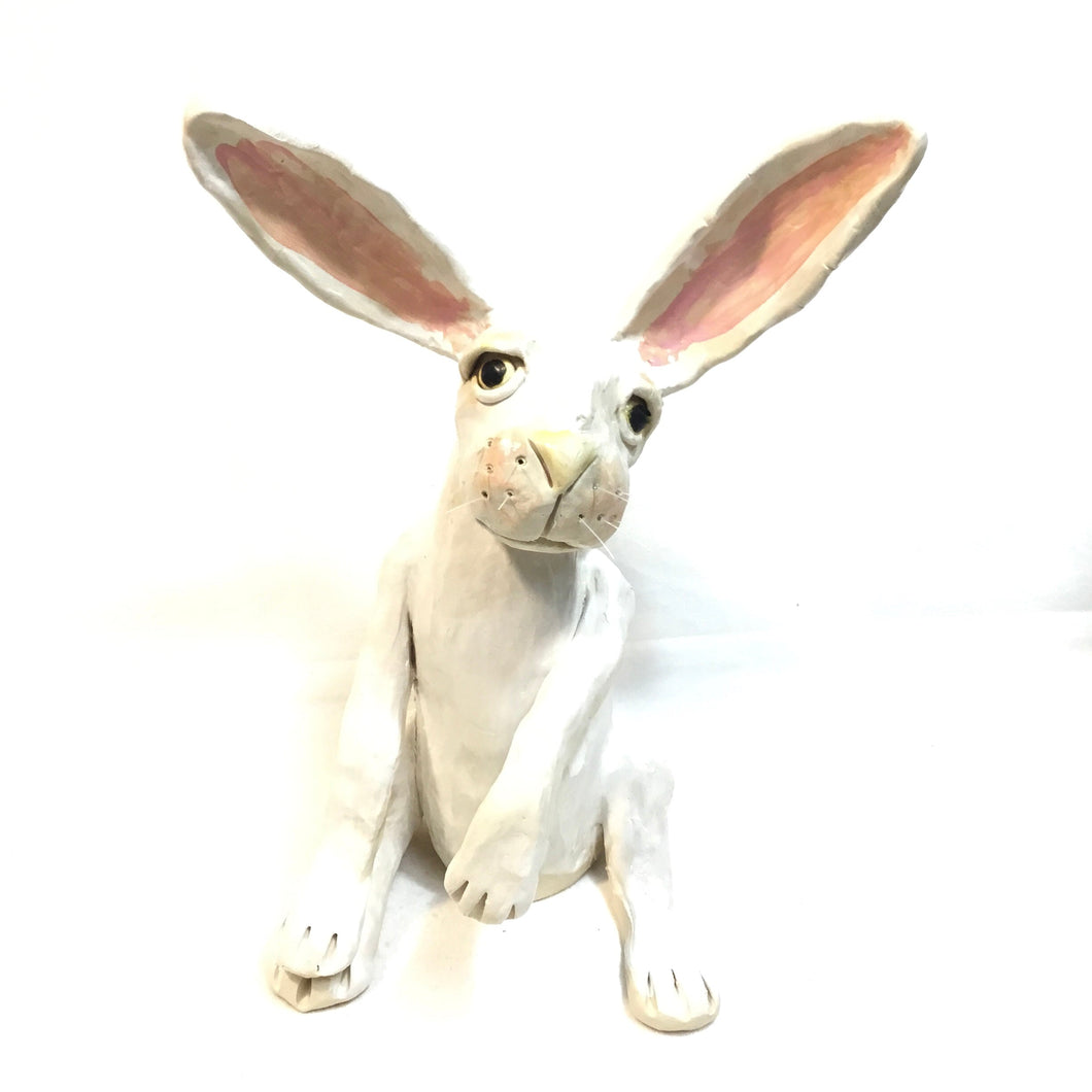 Large White Sitting Hare