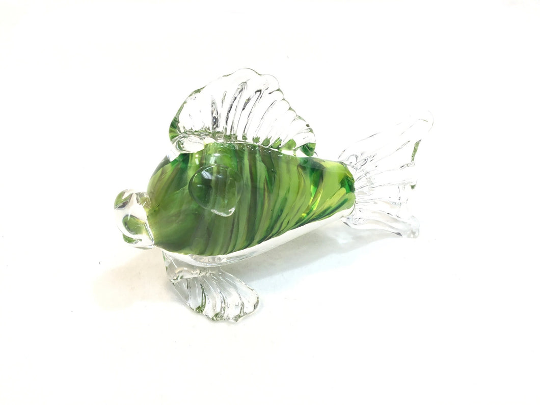 Glass Fish - Small