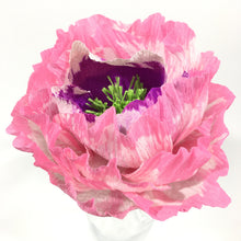 Pink and Purple Flower