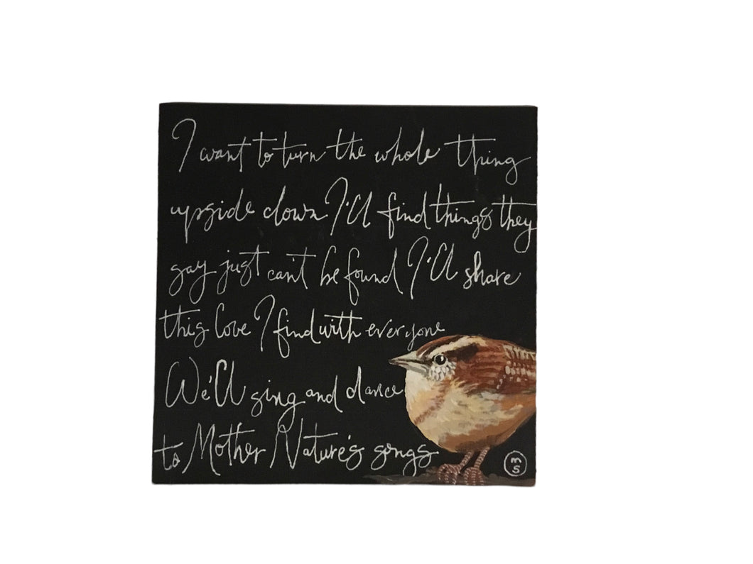 Jack Johnson/Carolina Wren