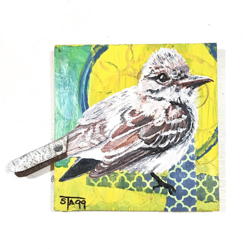 Great Crested Flikcatcher