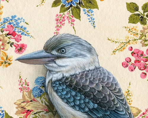Kookaburra