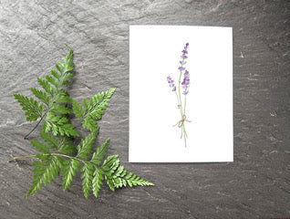 Lavender Greeting Card