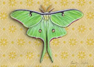 Luna Moth on yellow