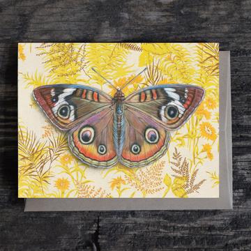 *Notecard - Buckeye Butterfly