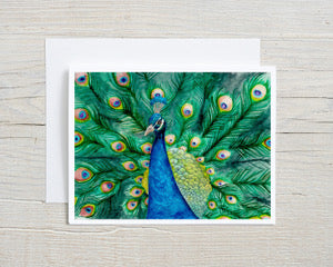 Peacock Greeting Card