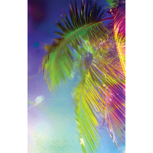 Rainbow Frond