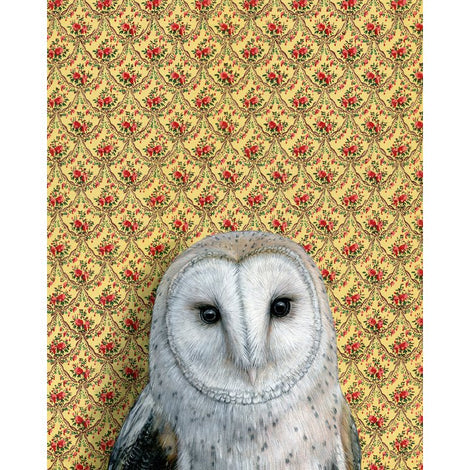 Barn Owl Large Print