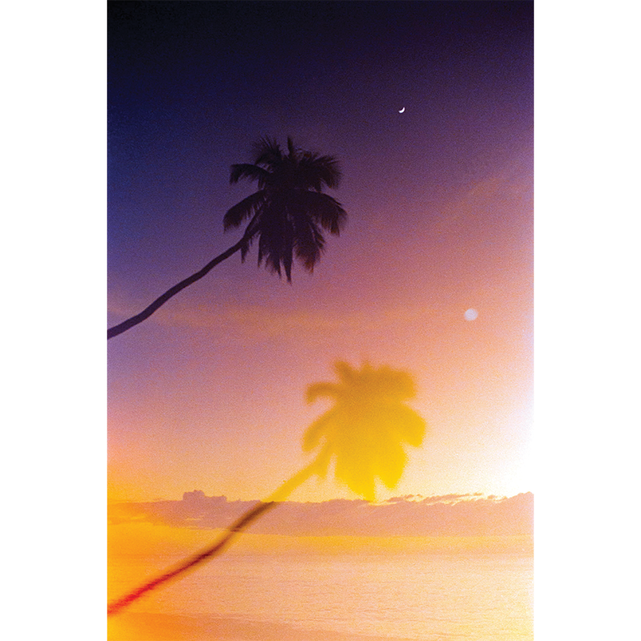 Double Palms Sunset